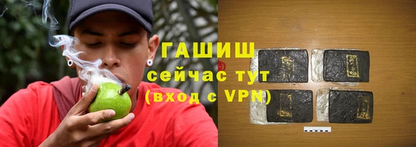 индика Болхов