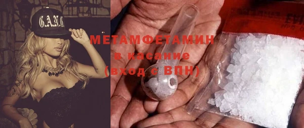 прущие грибы Болохово