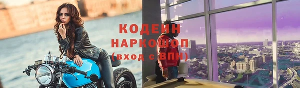 прущие грибы Болохово