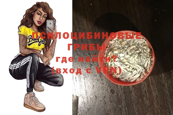 спайс Алексин