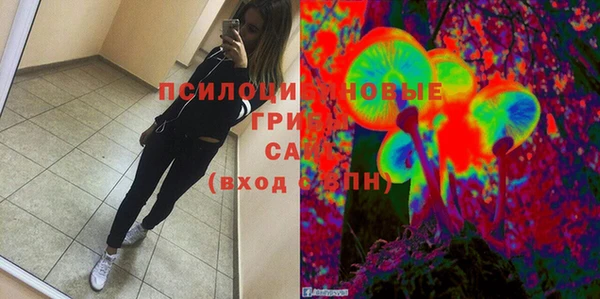крисы Алексеевка