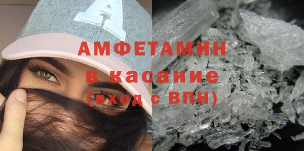 прущие грибы Болохово