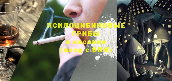 экстази Болотное