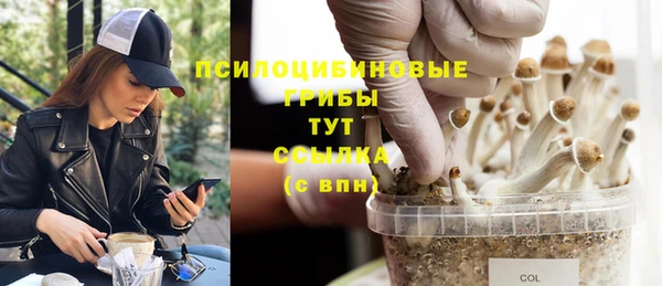 спайс Алексин